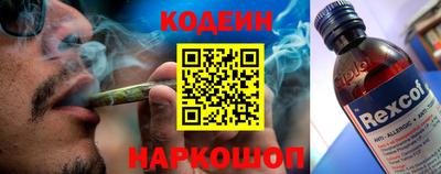 Альфа ПВП Ярославль